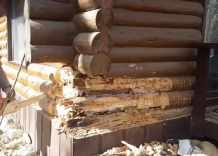 BD-Homes-Cabin-Repair-Before.png